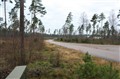 IMG_1739.JPG